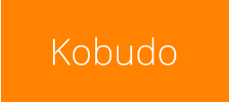 Kobudo